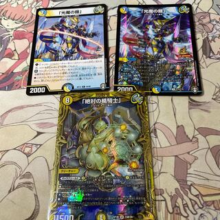 「絶対の楯騎士」