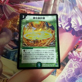 Evolutionary blueprint R-foil