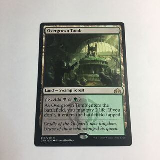 草むした墓/Overgrown Tomb 英 GRN