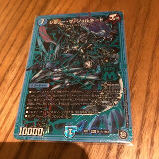 ジョリーザジョルネード  シク