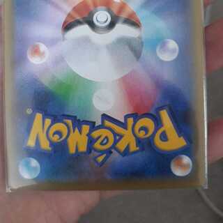 【お魚太郎様専用】ゲノセクト