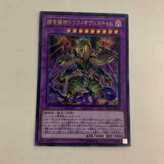 捕食植物トリフィオヴェルトゥム　1枚