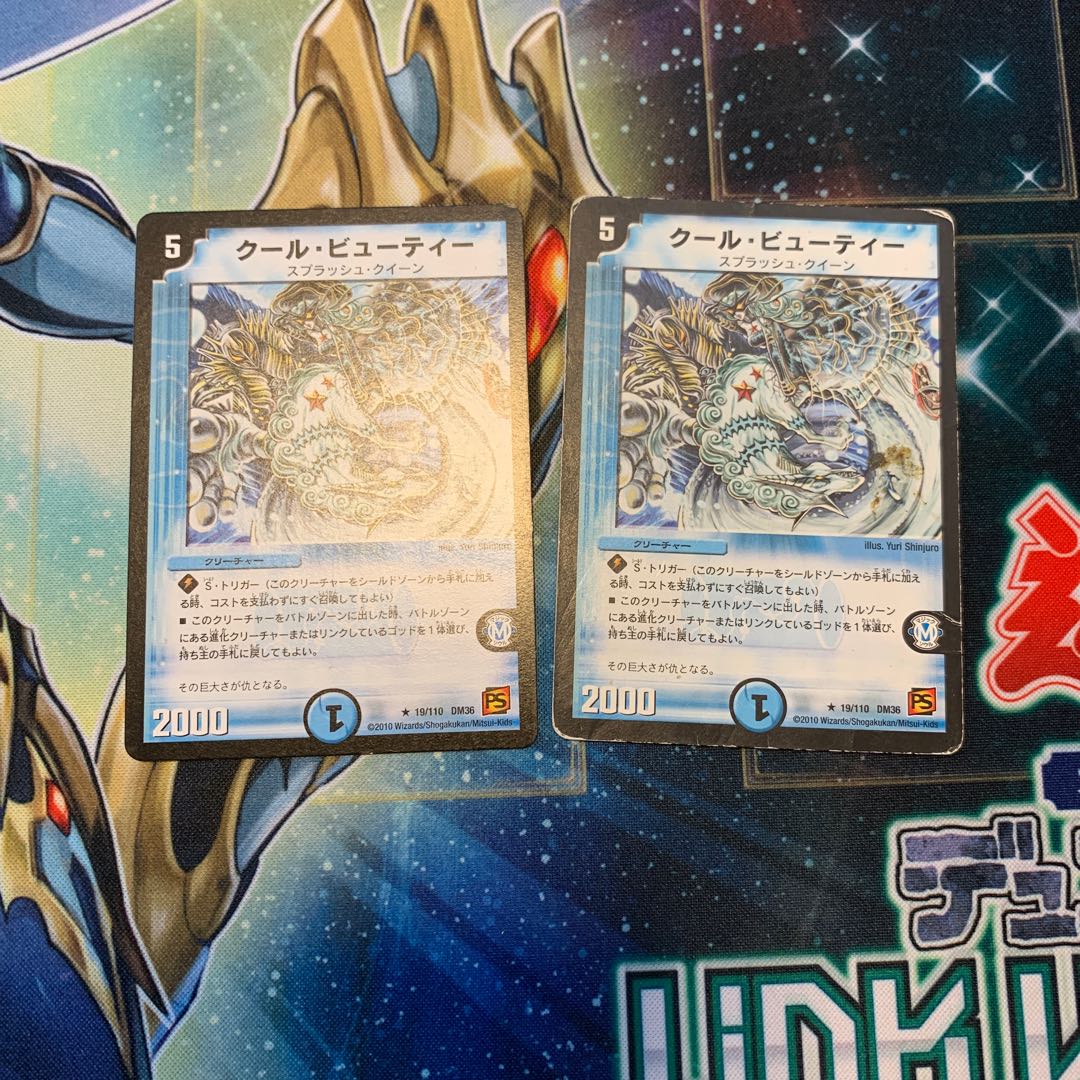 クール・ビューティー