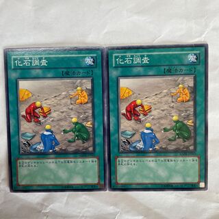 化石発掘 ノーマル　二枚セット