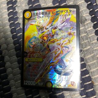 真実の聖霊王レオザスター