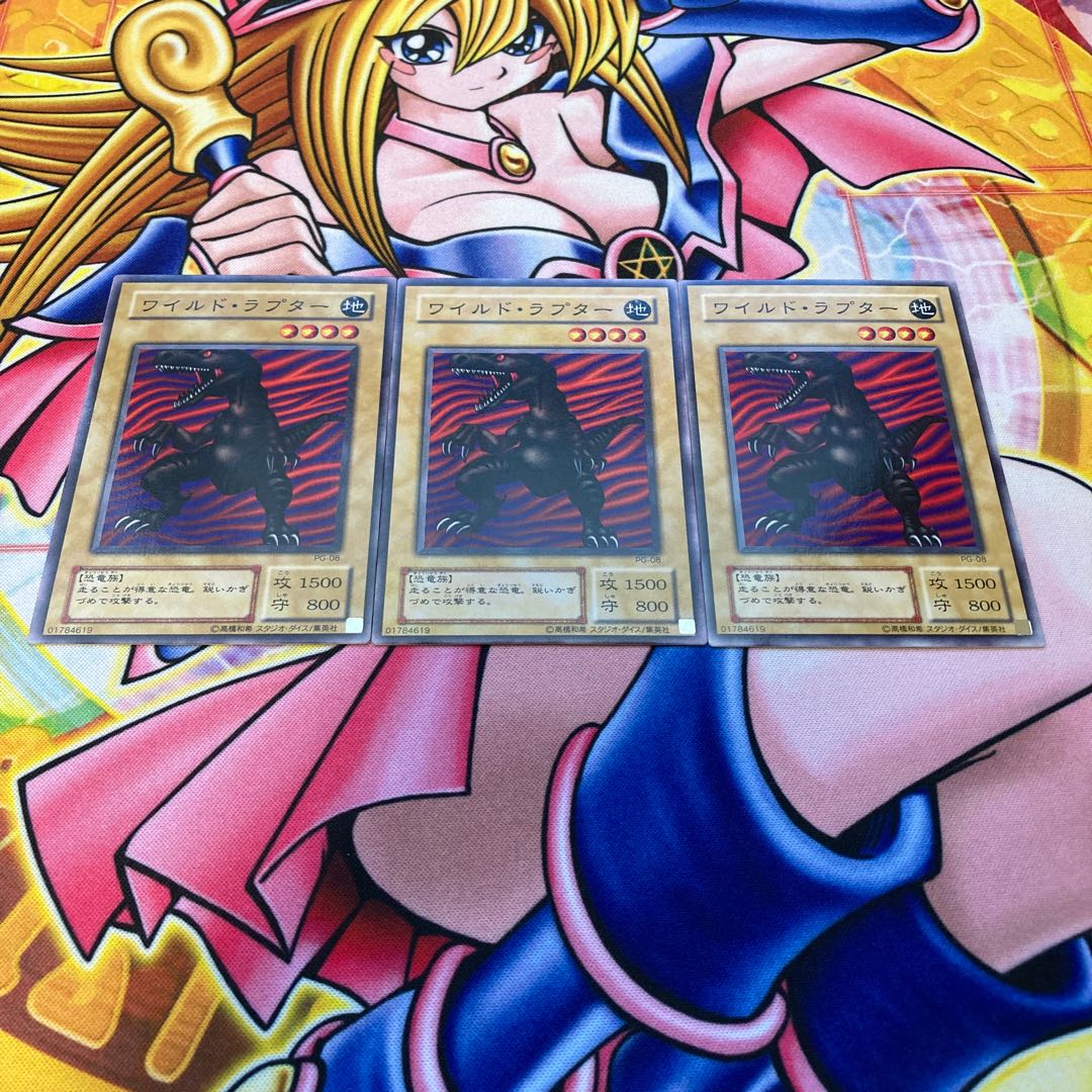 ワイルド・ラプター