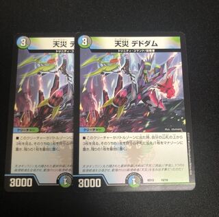 天災デドダム　2枚セット