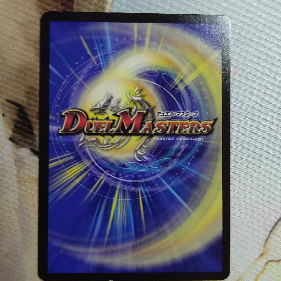 こたつむり 1枚