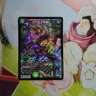 ブラキオ龍樹１枚