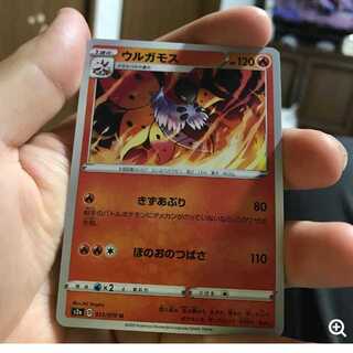 mg 8-12 小古　ウルガモス