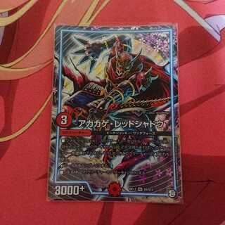 アカカゲ・レッドシャドウ