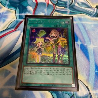 ◉Witchcrafter Creation SE Secret Rare