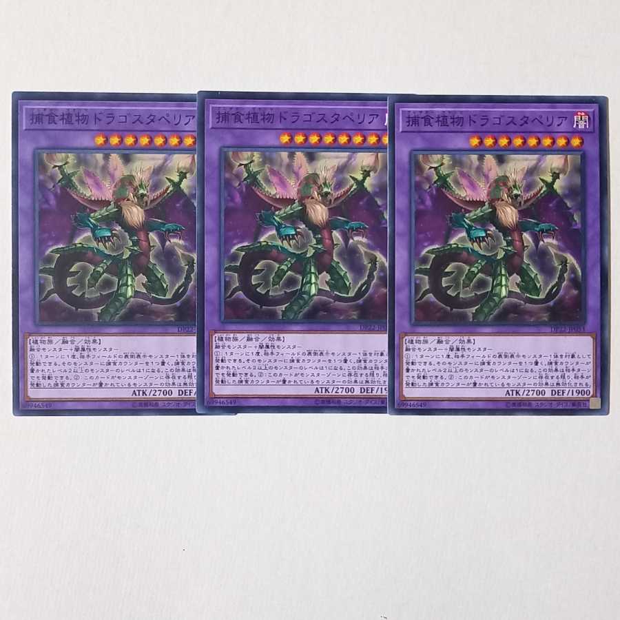 捕食植物ドラゴスタペリア ノーマル3枚
