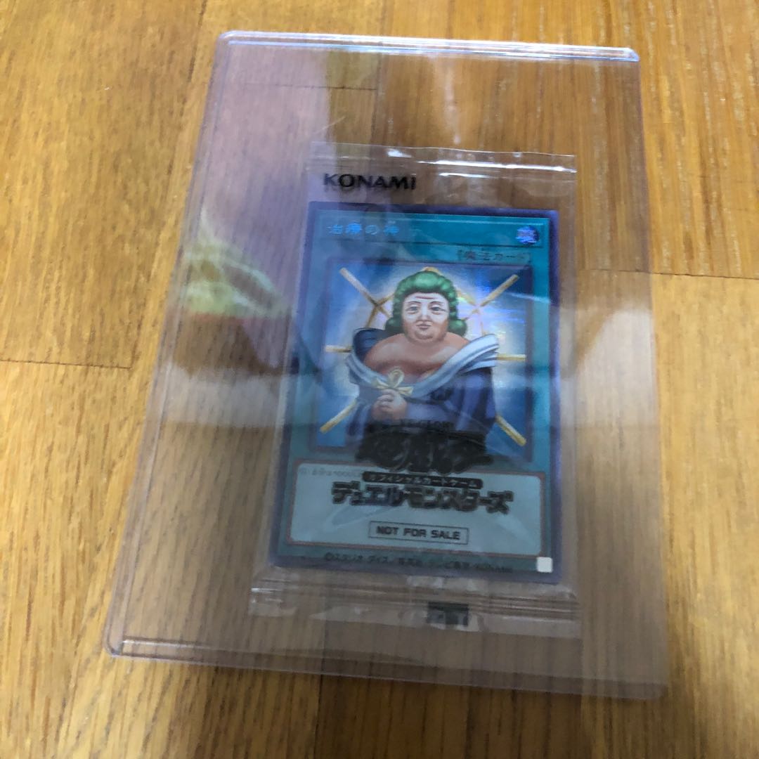 Dian Keto the Cure Master Snubbull Secret