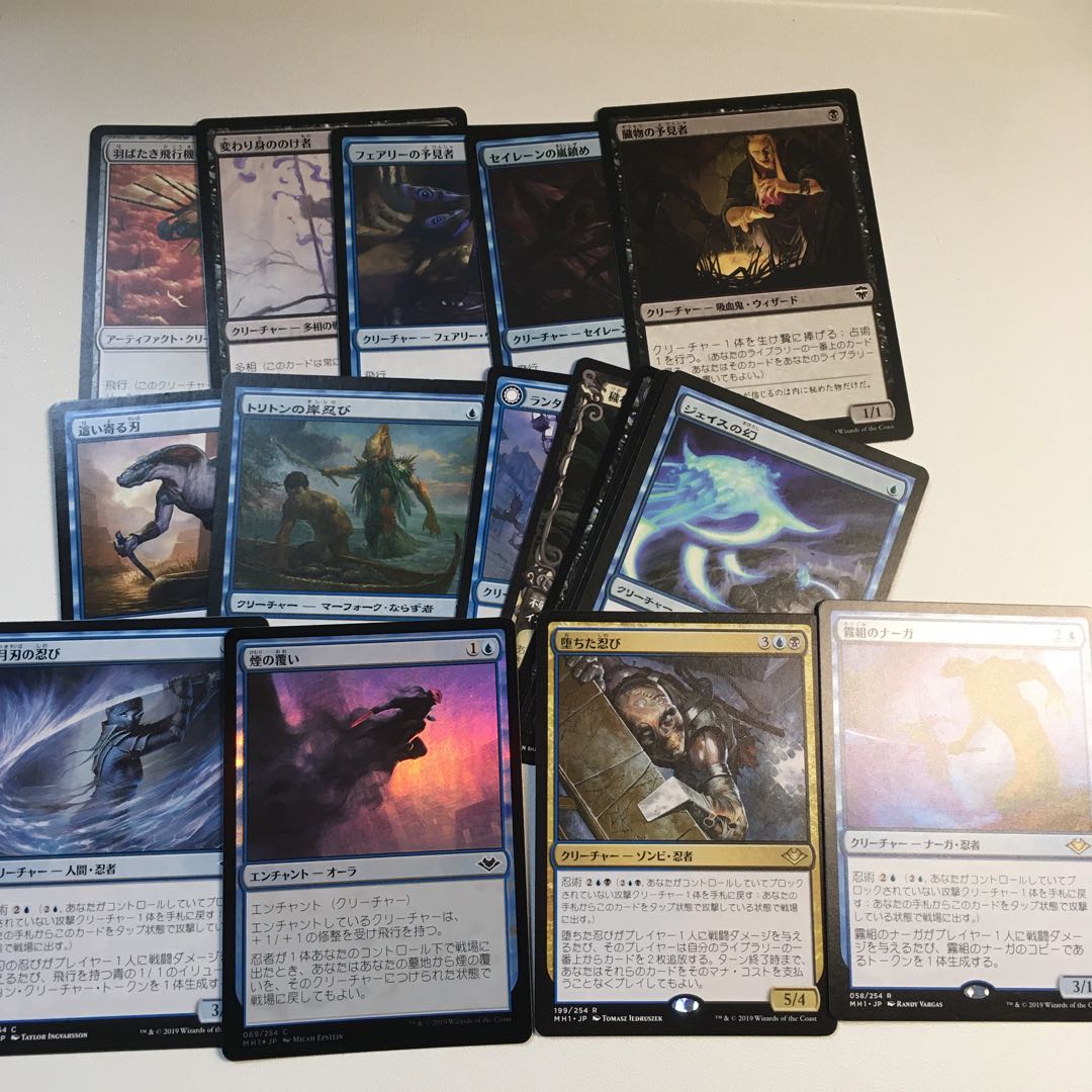 Tora no Kage Yuriko Ninjutsu no Seed and Ninja Set