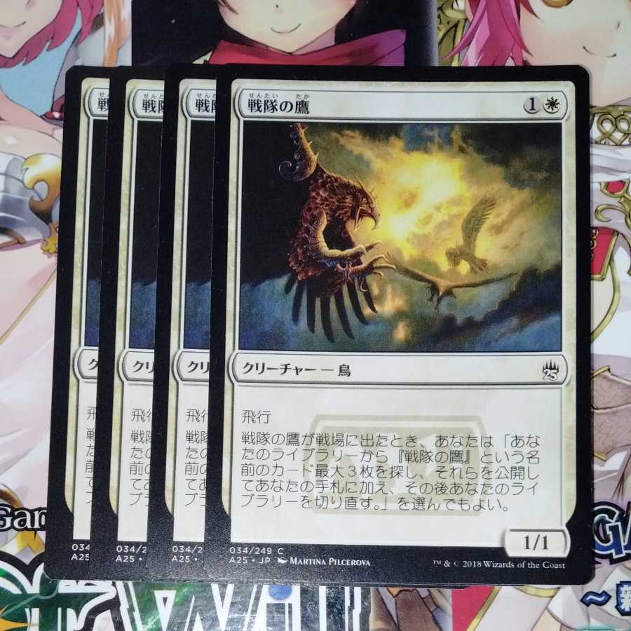 Squadron Hawk 4-Piece Set