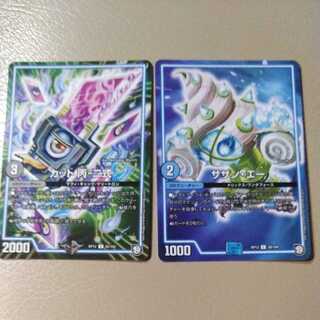 カット　サザンエー