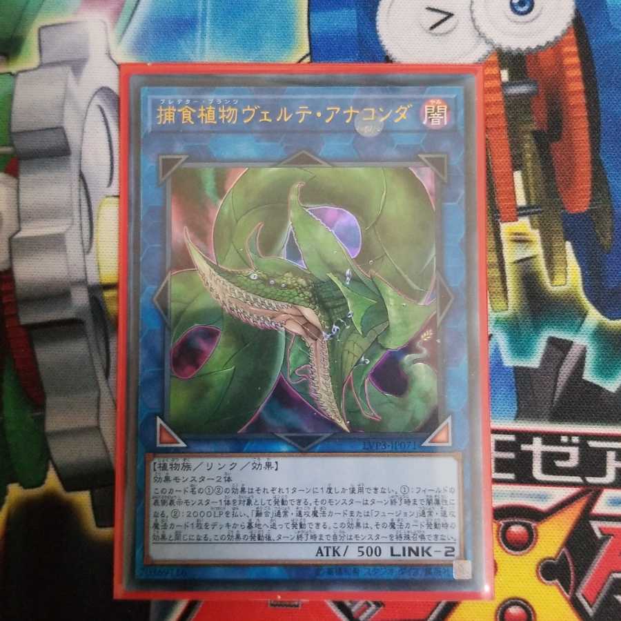 捕食植物ヴェルテ・アナコンダ