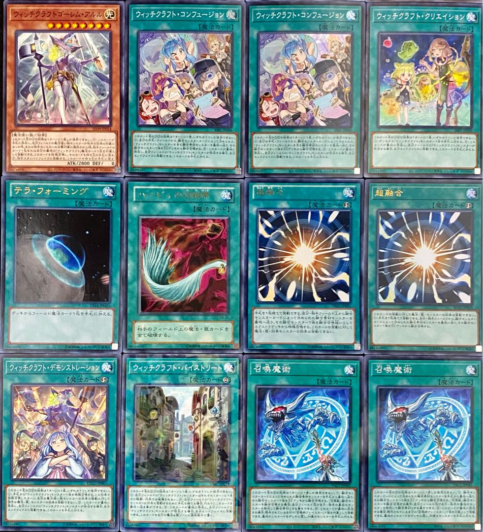 Yu-Gi-Oh! Newly adopted witchcraft deck RosaN+EX