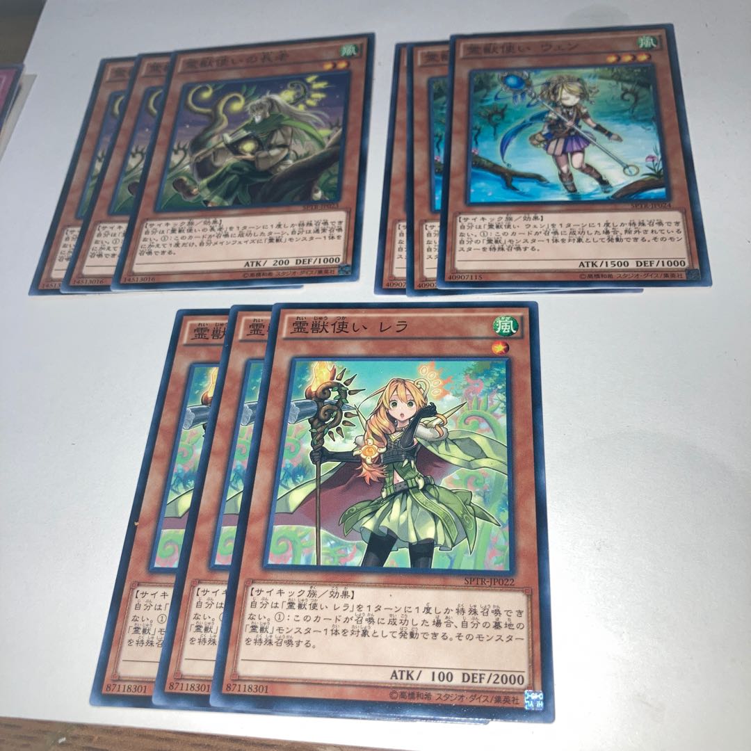 Ritual Beast Tamer Elder Normal with other extras