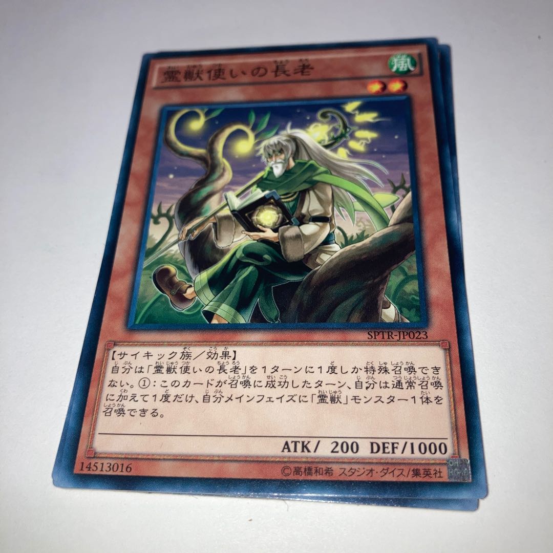 Ritual Beast Tamer Elder Normal with other extras