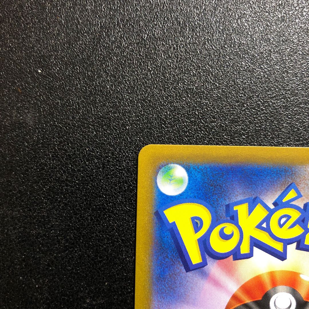 【SR】ガラルの仲間たち