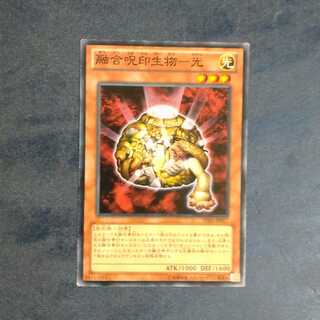 Polymerization Jujin Life Product - Light [Korindo].