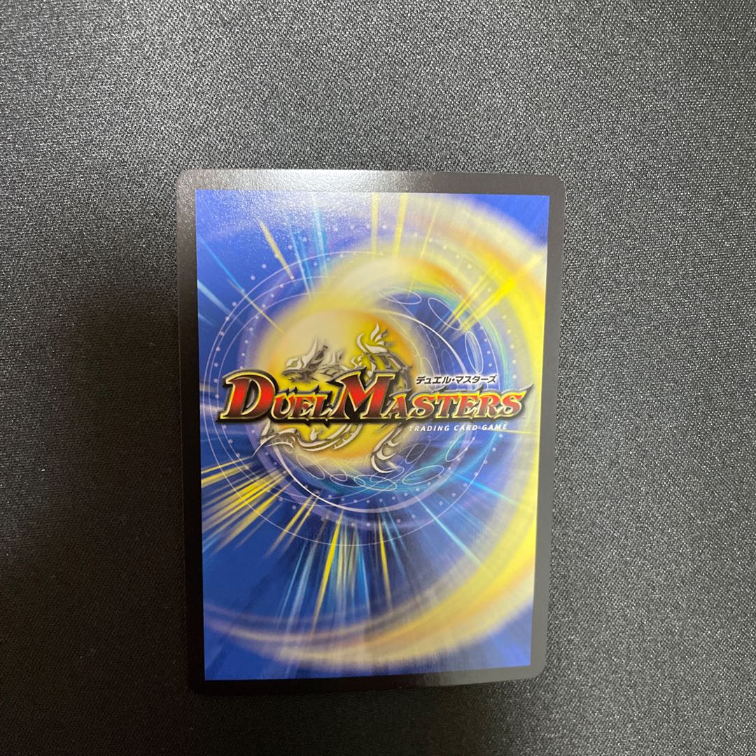 闘争類拳嘩目 ステゴロ・カイザー|お清めシャラップ