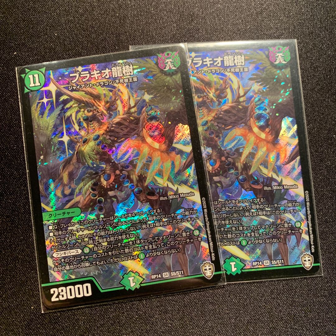 Brachio Ryu-ju 2-piece SET