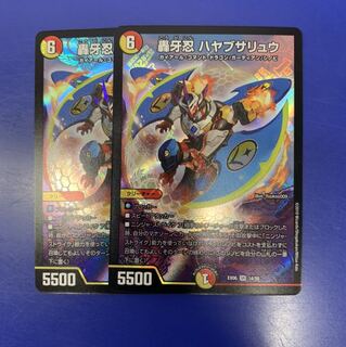 ハヤブサリュウ2枚