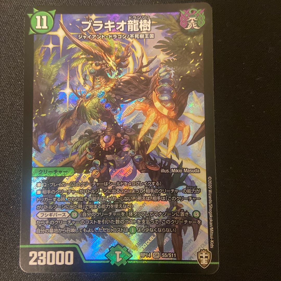 ブラキオ龍樹　ギカンディダノス　各2枚セット