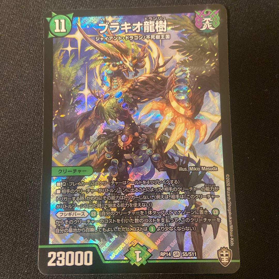 ブラキオ龍樹　ギカンディダノス　各2枚セット