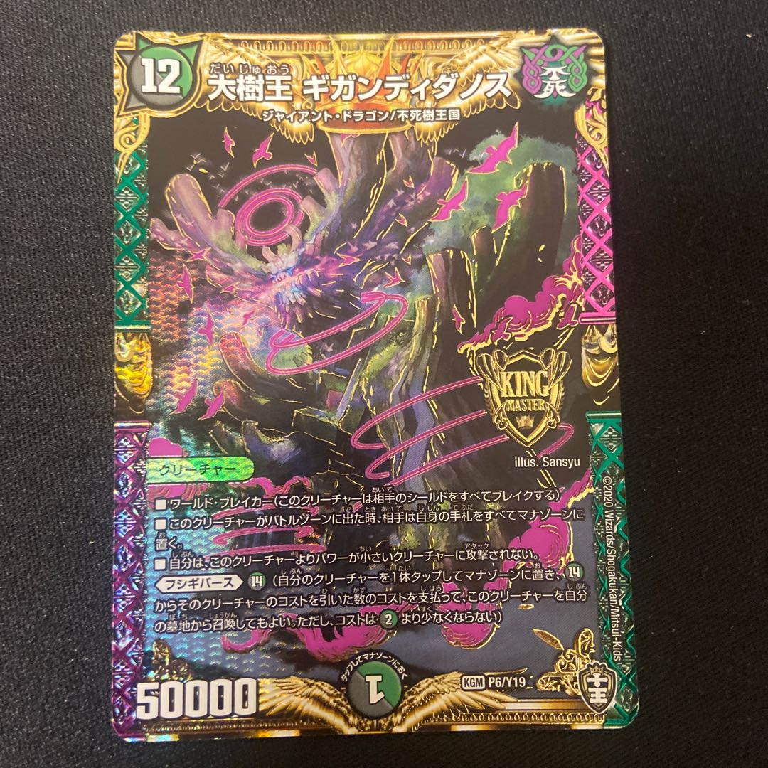 ブラキオ龍樹　ギカンディダノス　各2枚セット