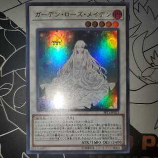 ガーデン・ローズ・メイデン