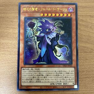 The Wise Man of Time and Flower - Fleur de Sage