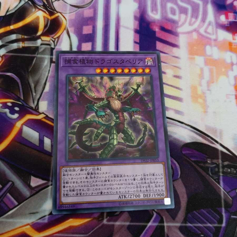 遊戯王 捕食植物ドラゴスタペリア　ノーマル 1枚