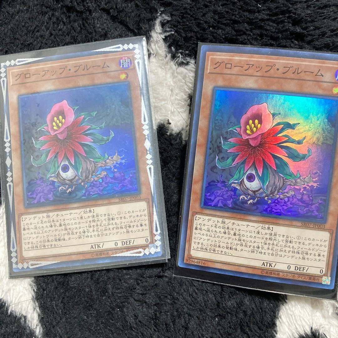 グローアップ・ブルーム