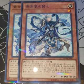 青き眼の賢士 ノーパラ 2枚セット