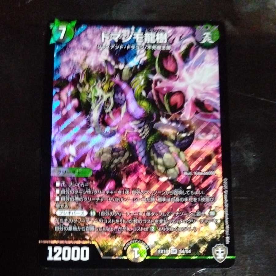 ドマンモ龍樹 1枚