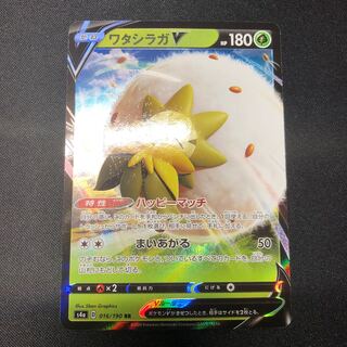 ワタシラガV 1枚