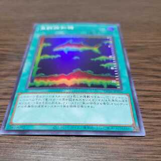 魚群探知機 スーパーレア