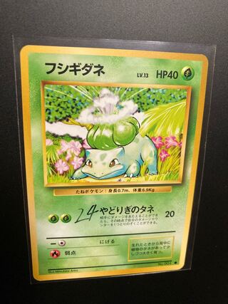 24 フシギダネ　旧裏 第一弾