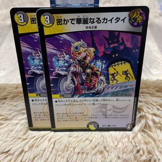 密かで華麗なるカイタイ