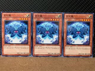 【ぽぽたん】遊戯王 8191 月光蝶 3枚 ノーマル