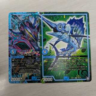 アアルカイト秘3、マグカジロ