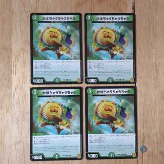 かぼちゃうちゃうちゃう 4枚セット