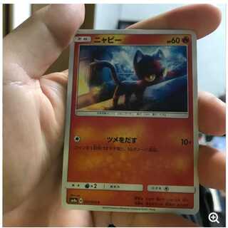 mg 8-12 Koko Litten