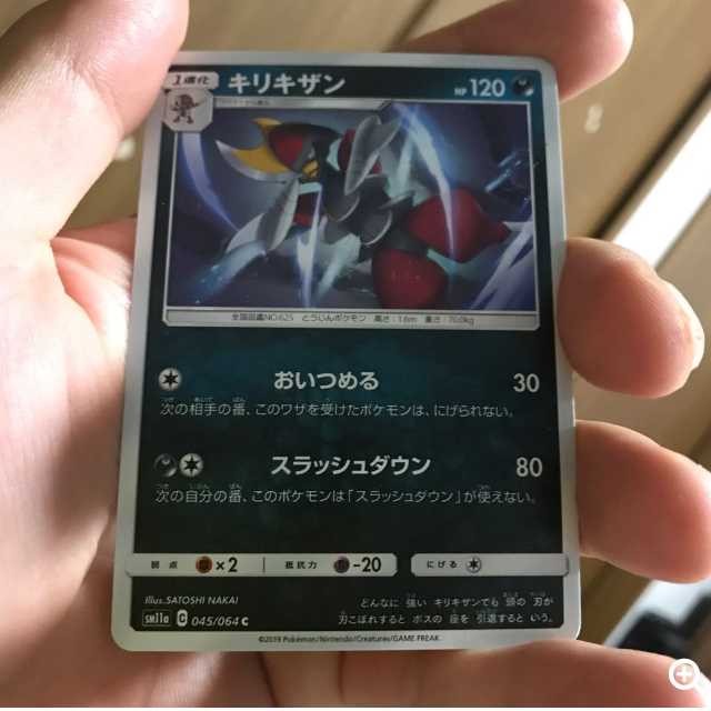 mg 8-12 Koko Bisharp