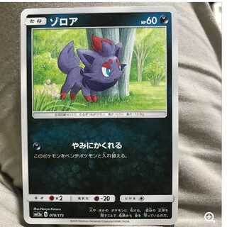 mg 8-12 小古　ゾロア