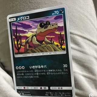 mg 8-12 Koko Sandile